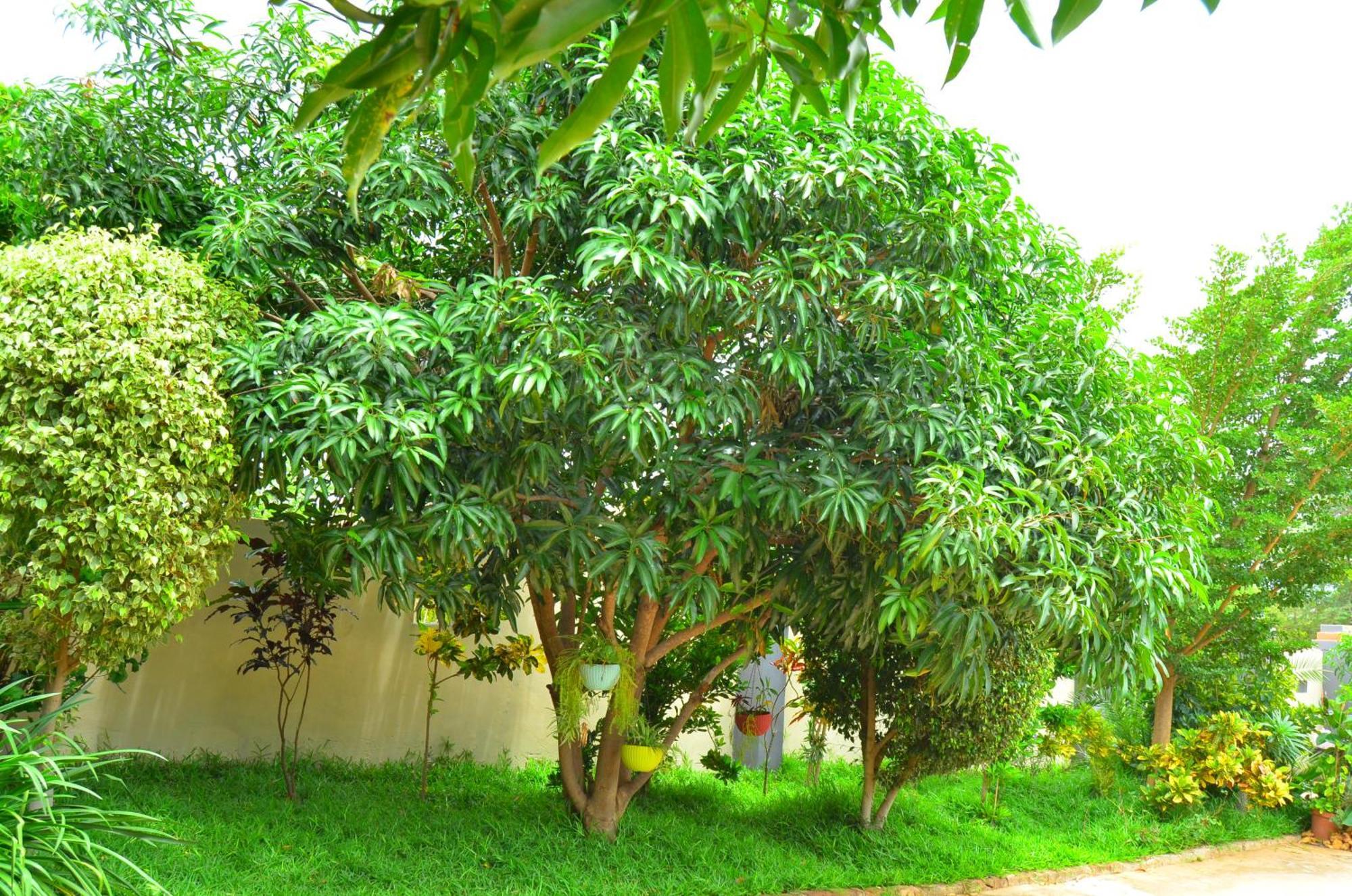 Chobe Kulotu Guest House Kasane Exteriör bild